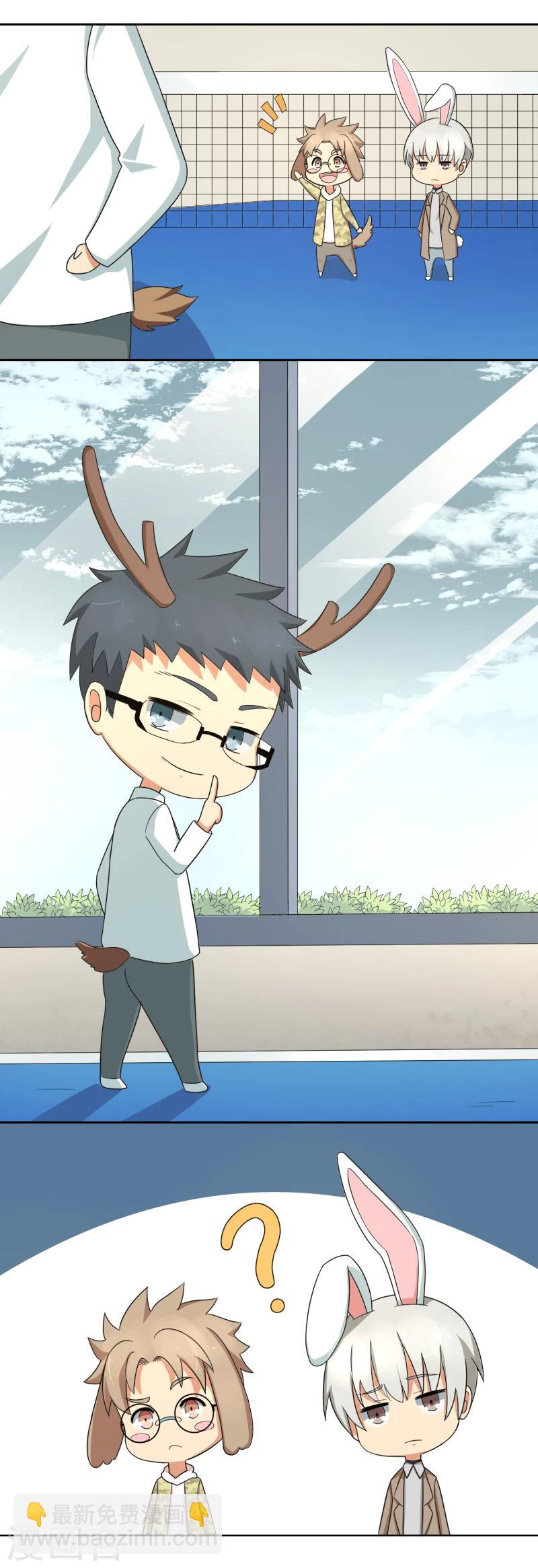 小剧场1 歪传：邂逅一只校霸喵-第17话