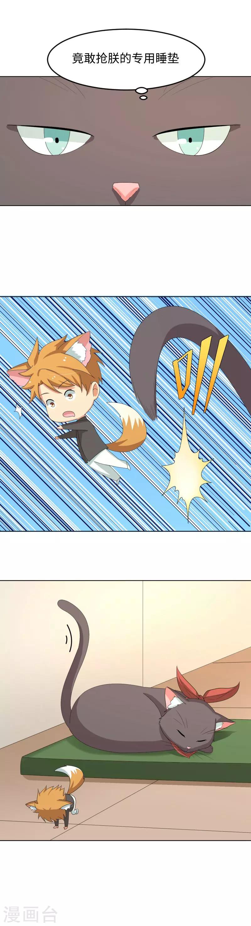 小剧场1 歪传：邂逅一只校霸喵-第17话