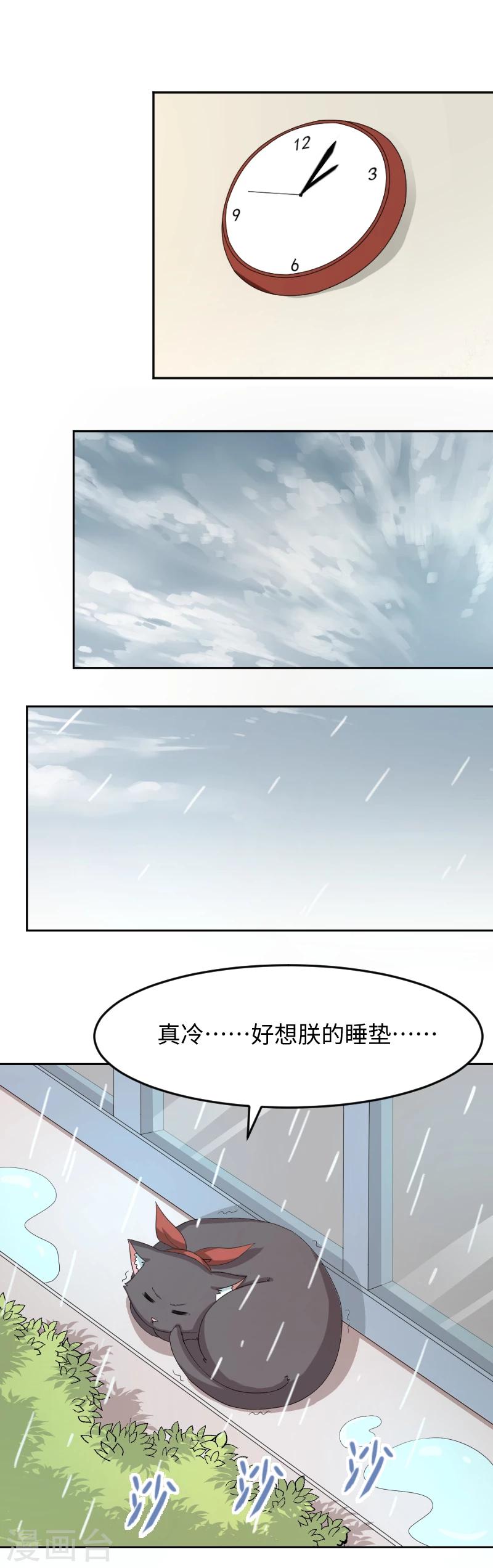 小剧场1 歪传：邂逅一只校霸喵-第17话