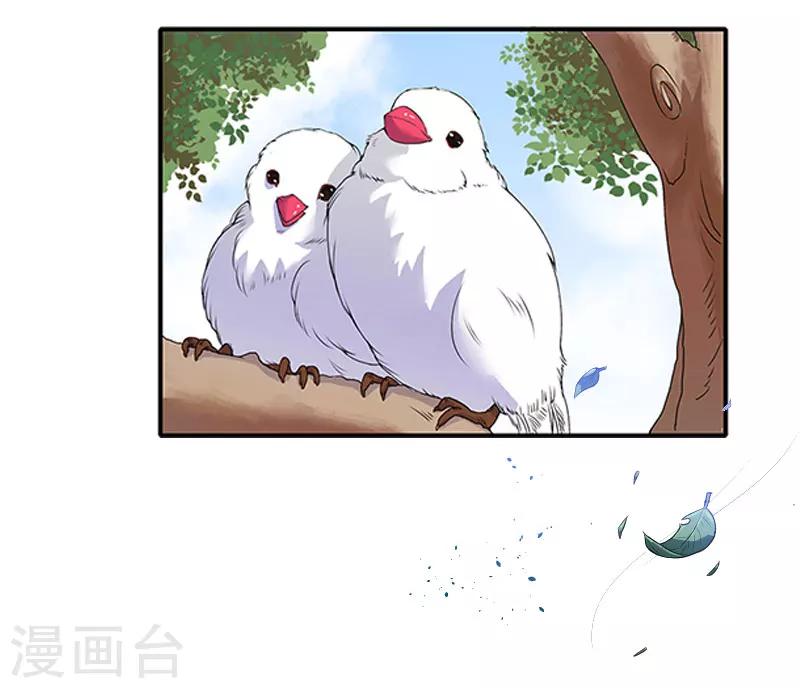 誤入婚途:叛逆夫妻 - 第25話 安安(1/2) - 3