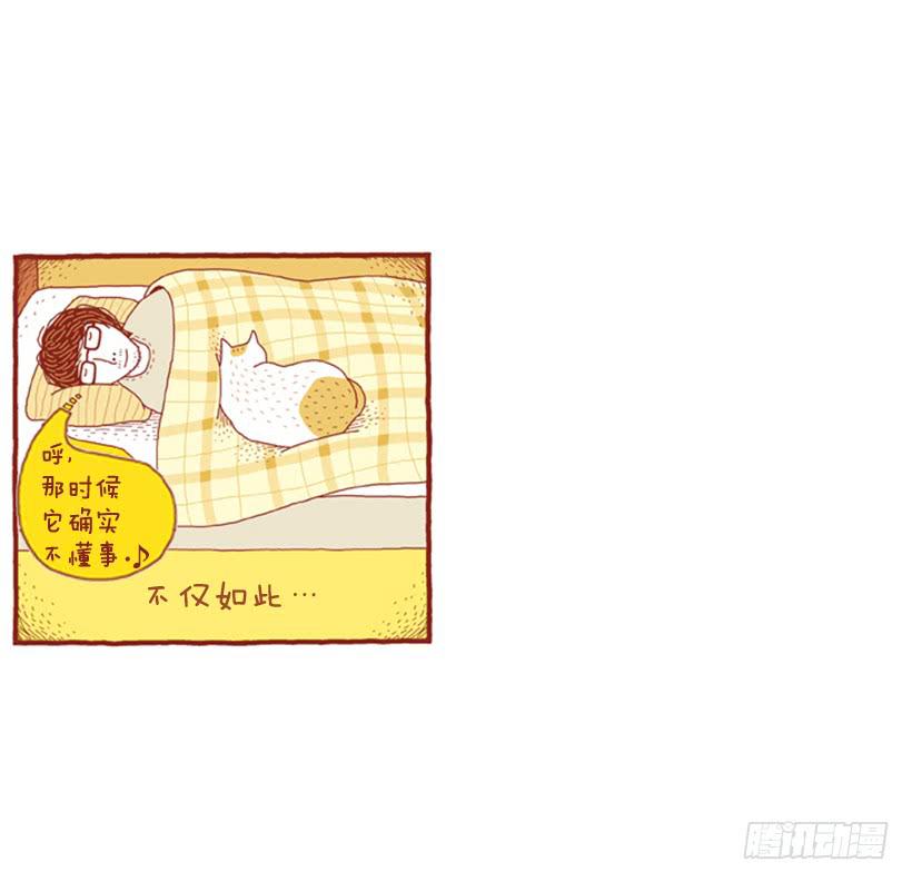 一开始的鸡飞狗跳-第11话