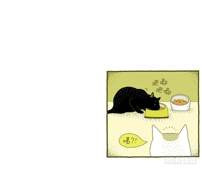 虽然只是过客 上篇-第13话