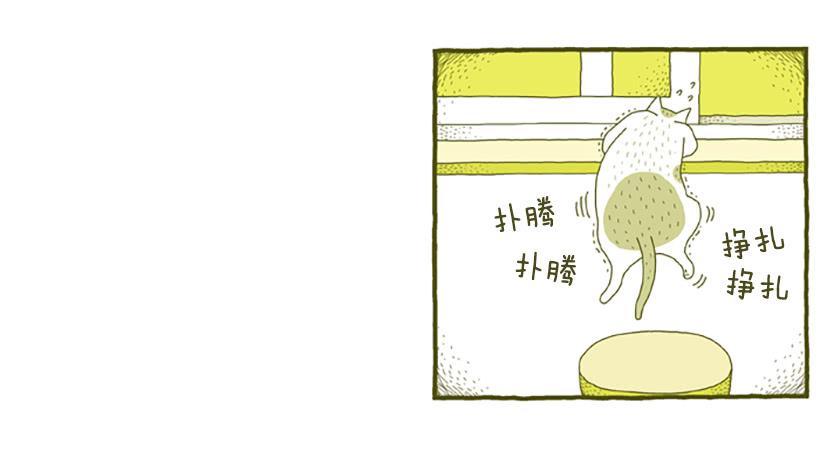 窗外的猫 上篇-第15话