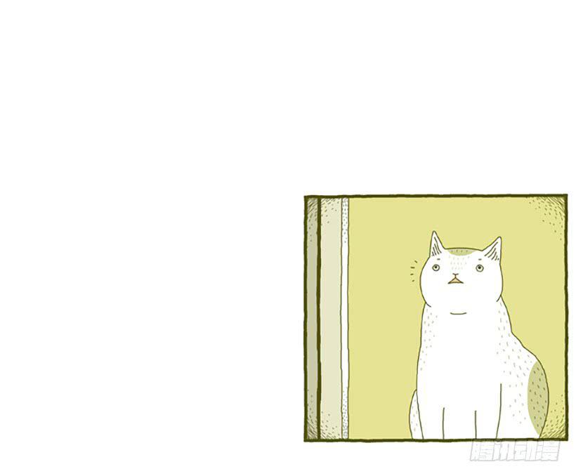 窗外的猫 上篇-第15话