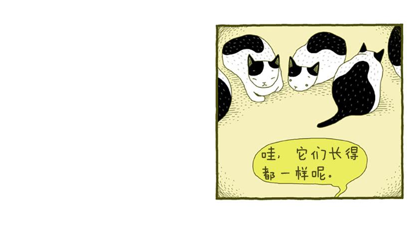 窗外的猫 上篇-第15话