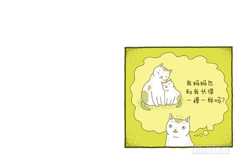 窗外的猫 上篇-第15话