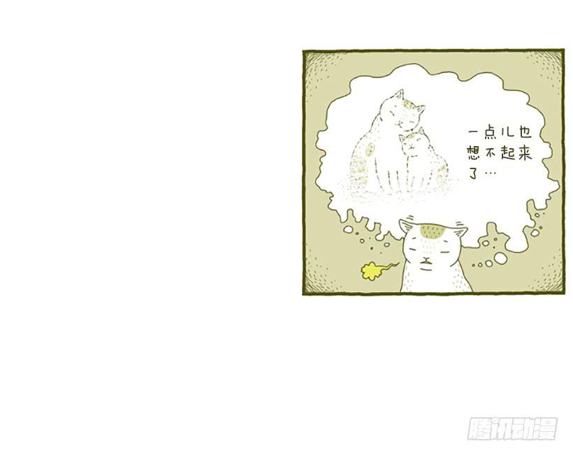 窗外的猫 上篇-第15话