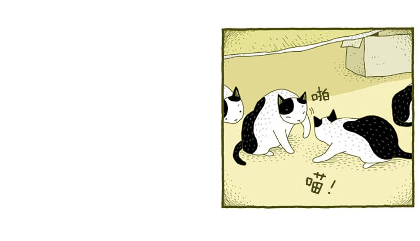 窗外的猫 上篇-第15话