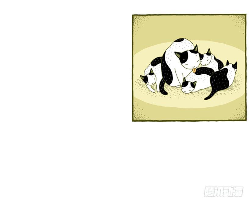 窗外的猫 上篇-第15话