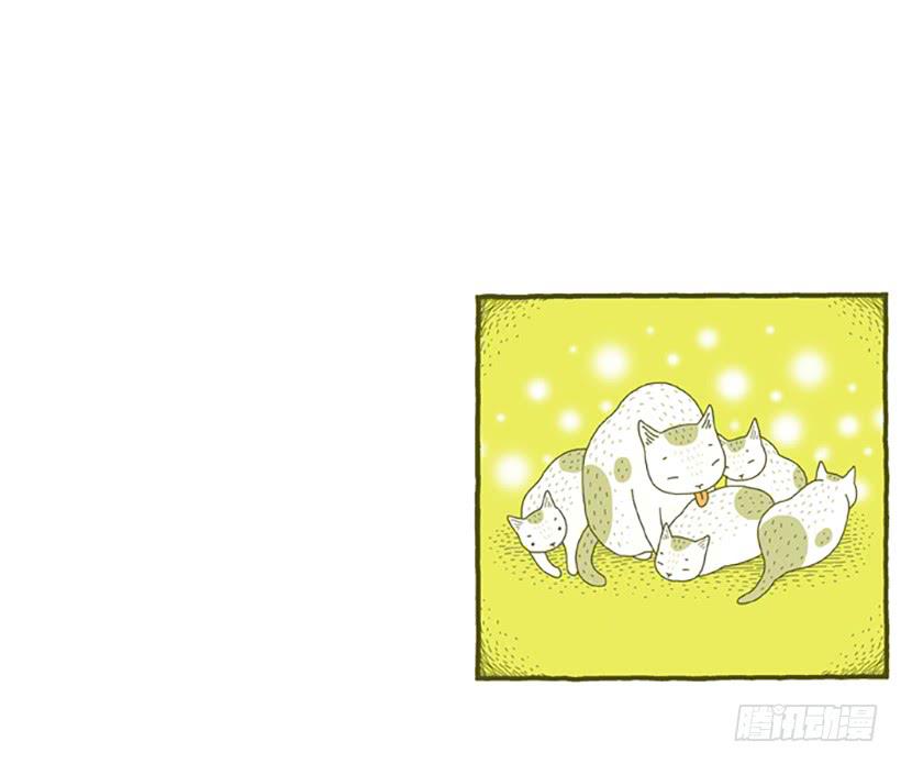 窗外的猫 上篇-第15话