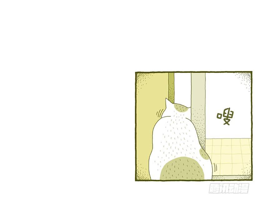 窗外的猫 上篇-第15话