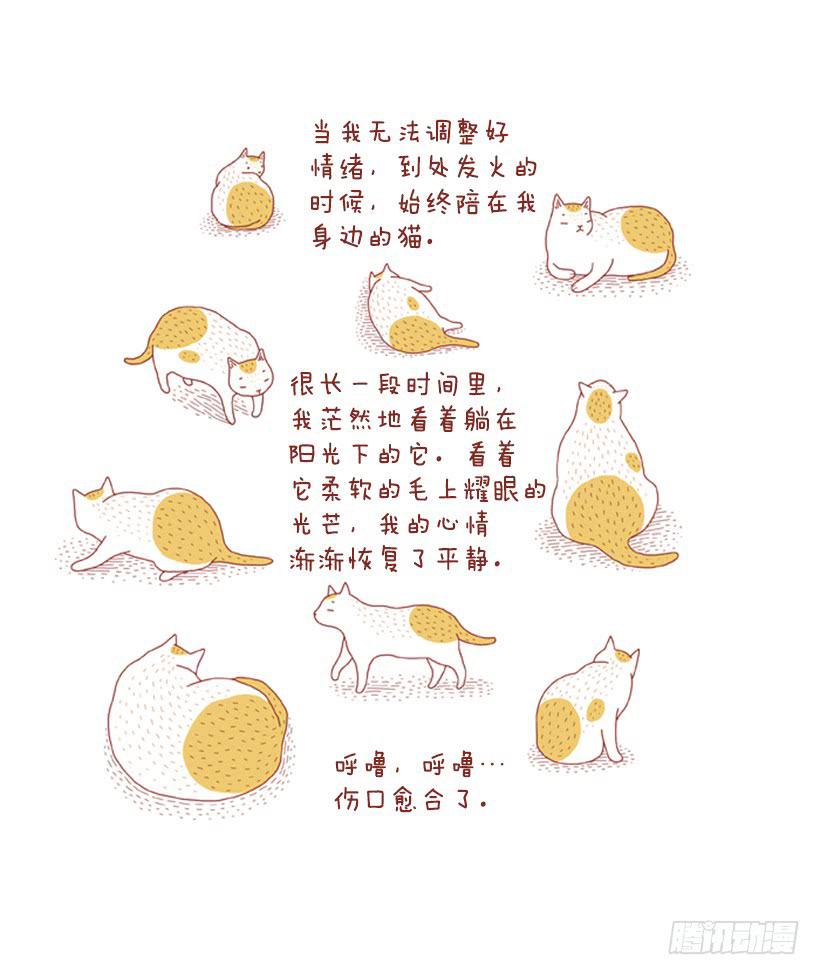 如空气般自然的存在-第21话