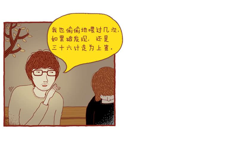 喜欢猫的女人 下篇-第23话