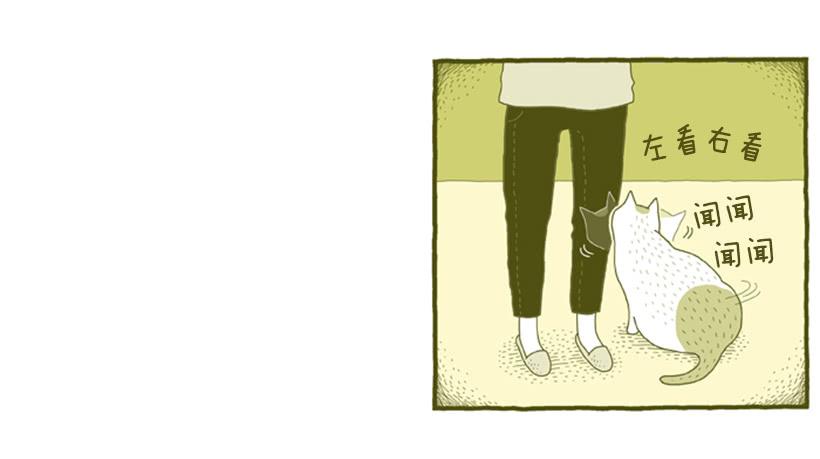 到底发生了什么事-第25话