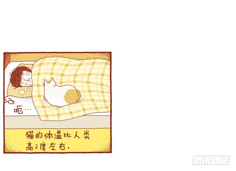 只有我平安，你才会无事-第27话