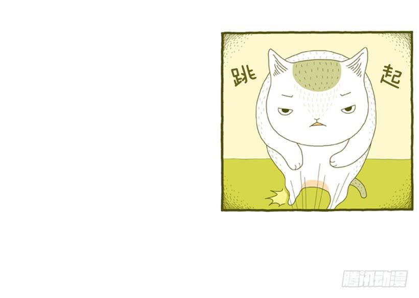 别看我这样，我可是一只猫-第31话