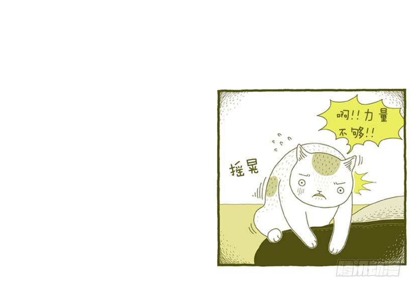 别看我这样，我可是一只猫-第31话