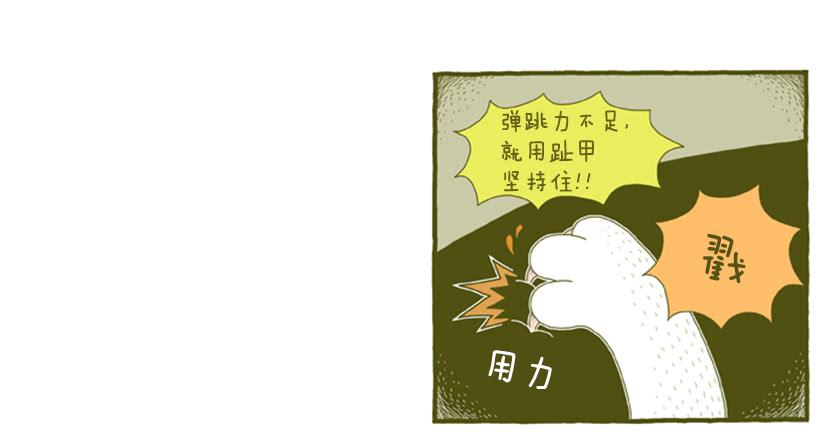 别看我这样，我可是一只猫-第31话