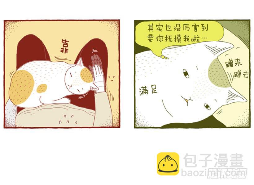 别看我这样，我可是一只猫-第31话