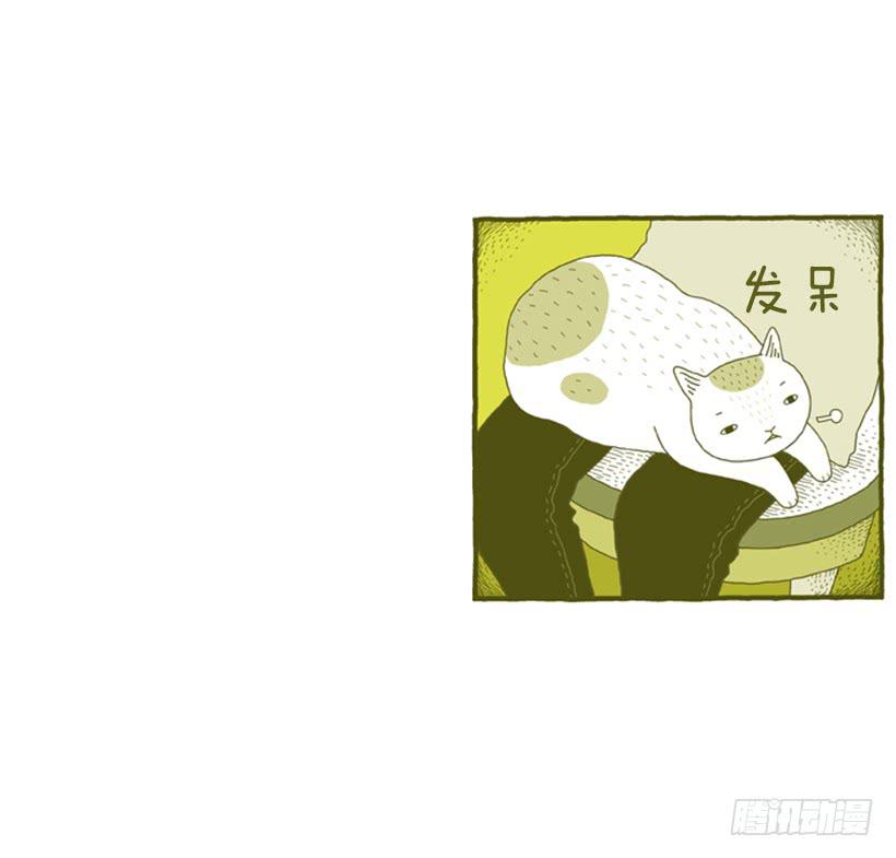 别看我这样，我可是一只猫-第31话