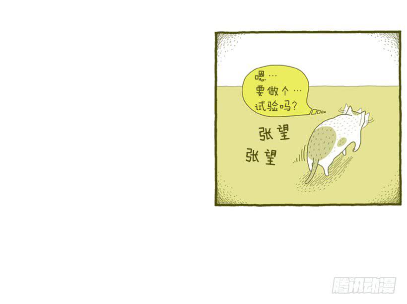 别看我这样，我可是一只猫-第31话