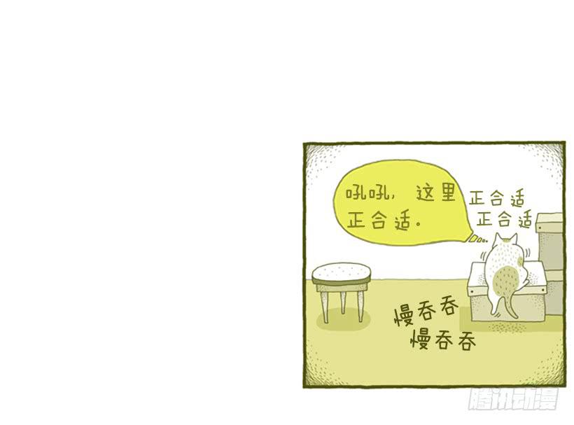 别看我这样，我可是一只猫-第31话