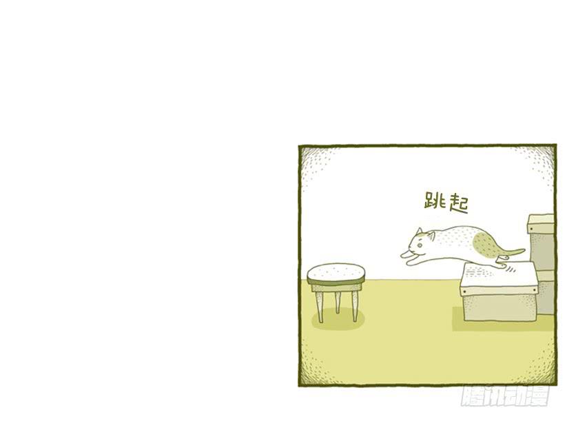 别看我这样，我可是一只猫-第31话
