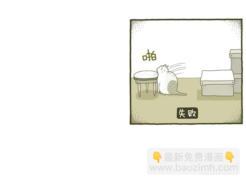 别看我这样，我可是一只猫-第31话