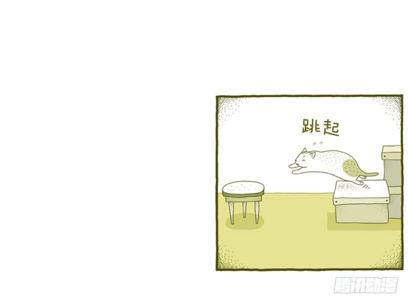 别看我这样，我可是一只猫-第31话