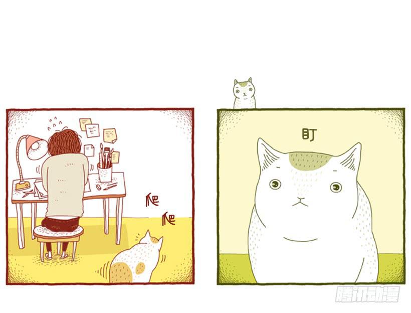 别看我这样，我可是一只猫-第31话