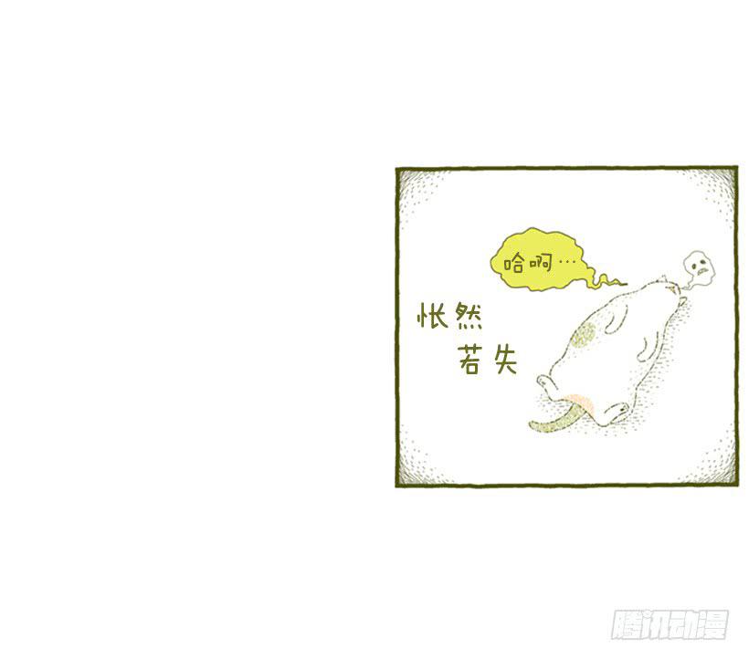 别看我这样，我可是一只猫-第31话