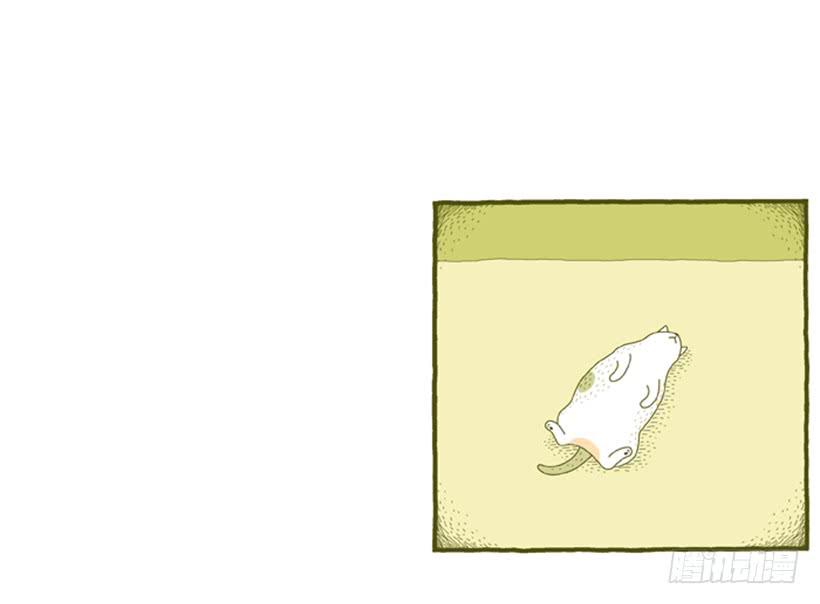 别看我这样，我可是一只猫-第31话