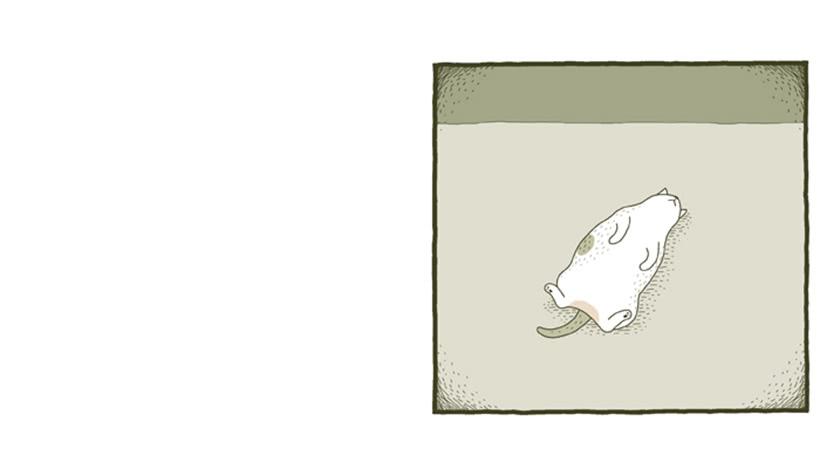 别看我这样，我可是一只猫-第31话