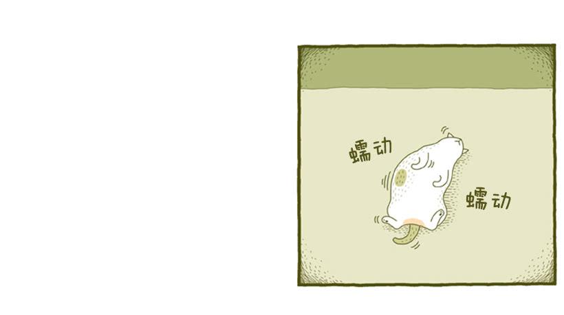 别看我这样，我可是一只猫-第31话