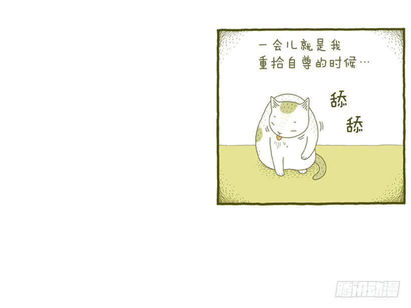 别看我这样，我可是一只猫-第31话