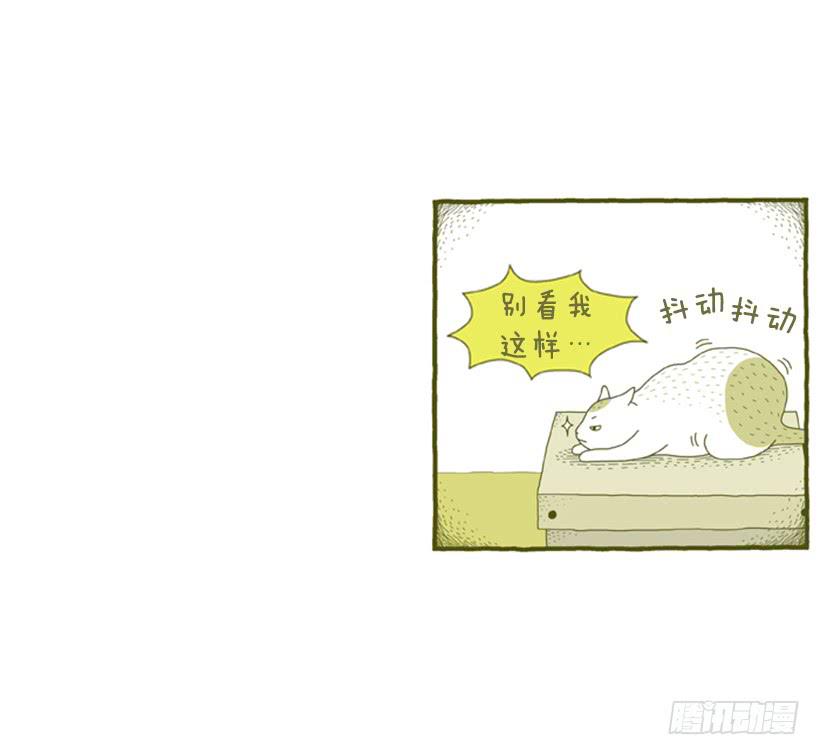 别看我这样，我可是一只猫-第31话