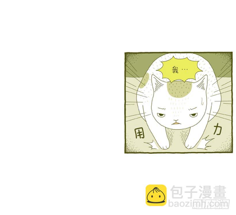 别看我这样，我可是一只猫-第31话