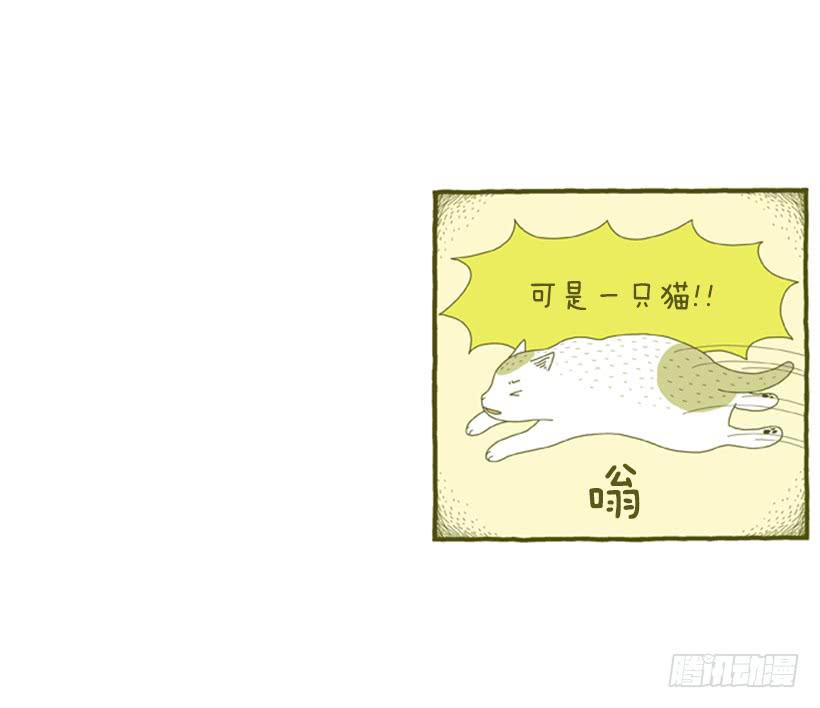 别看我这样，我可是一只猫-第31话