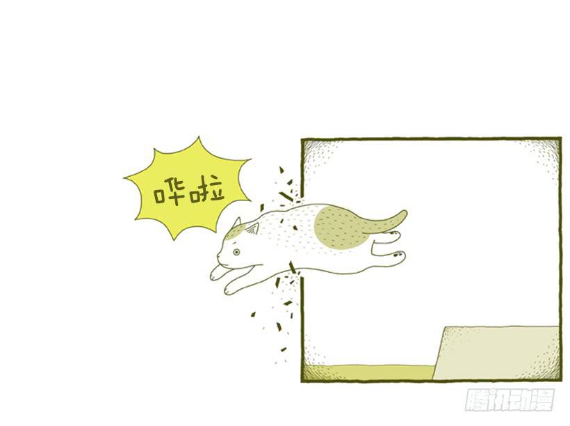 别看我这样，我可是一只猫-第31话