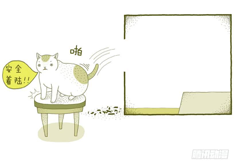 别看我这样，我可是一只猫-第31话