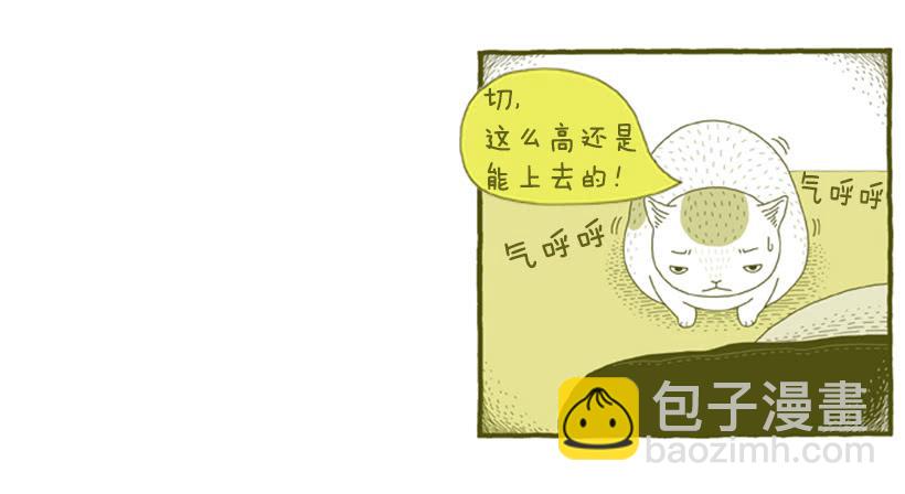 别看我这样，我可是一只猫-第31话