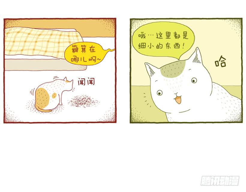 打扫卫生的后果-第33话