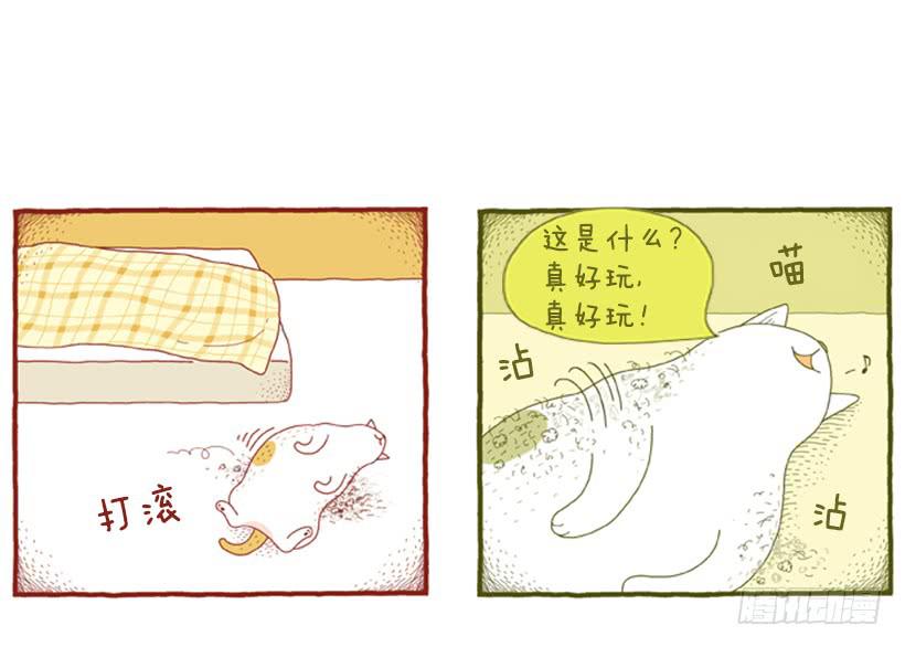 打扫卫生的后果-第33话