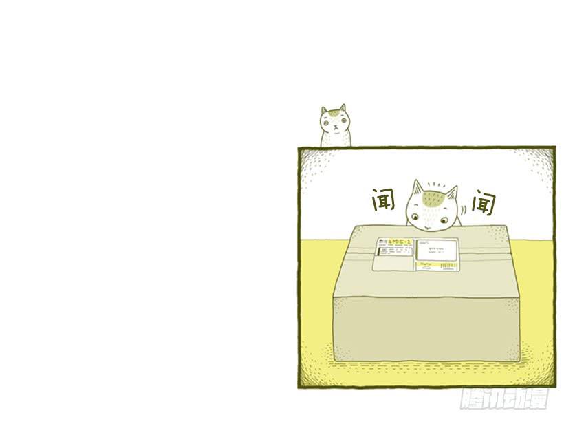 好奇害死猫-第35话