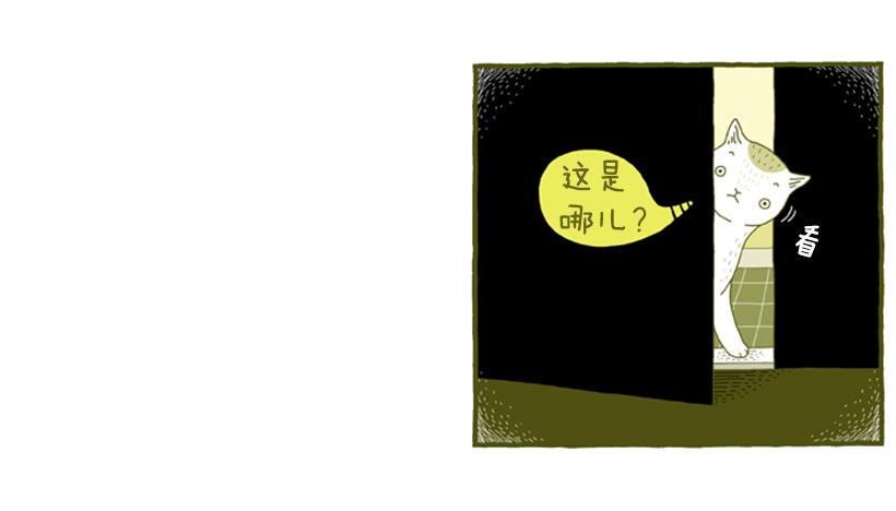 好奇害死猫-第35话