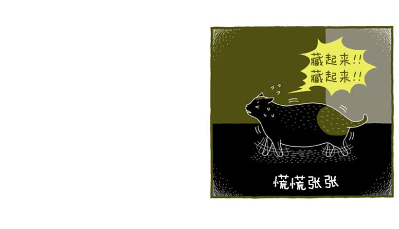 想象貓 - 好奇害死貓 - 6