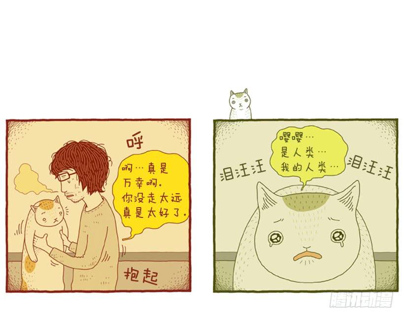 好奇害死猫-第35话