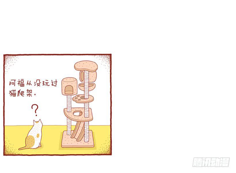 玩也讲究时机-第39话