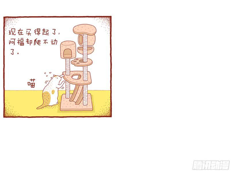 玩也讲究时机-第39话