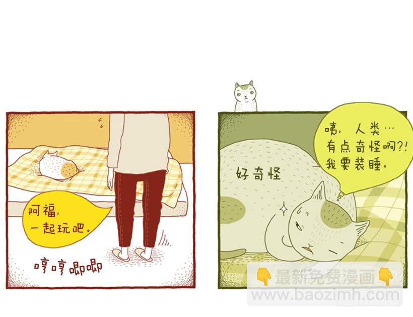 玩也讲究时机-第39话